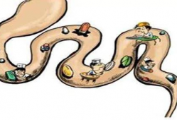 黄煌经方讲座视频